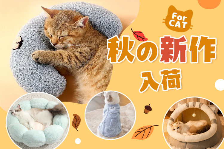 秋に猫ちゃん用の商品が入荷しました！