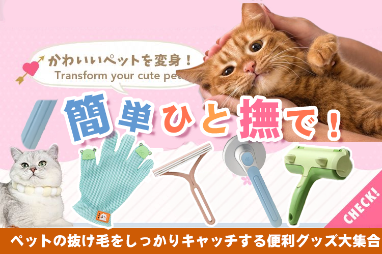 ペットの抜け毛をしっかりキャッチする便利グッズ大集合